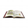 Подарочная книга Айболит. Сказки. Чуковский К. И.  К 270 БЗ